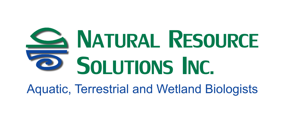 Natural Resource Solutions Logo