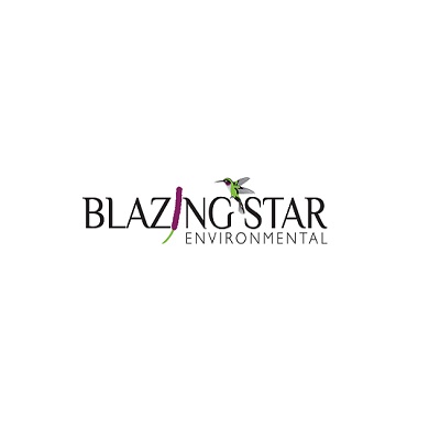 Blazing Star logo