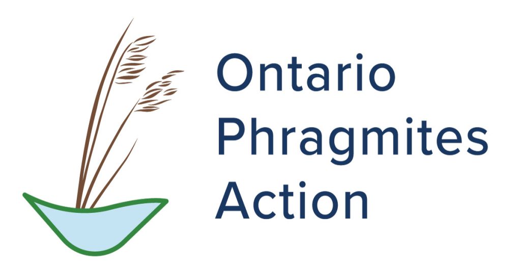 Ontario Phragmites Action Program